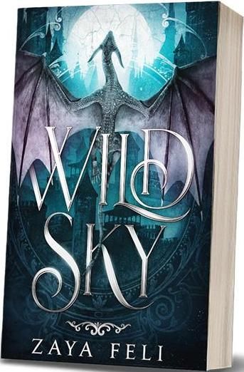 Emprunter Wild Sky livre