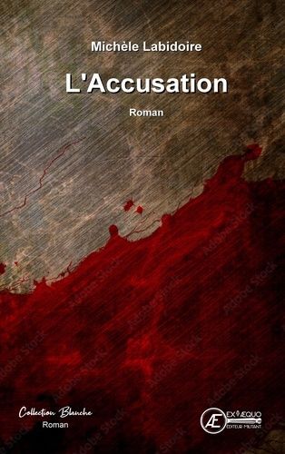 Emprunter L'accusation livre