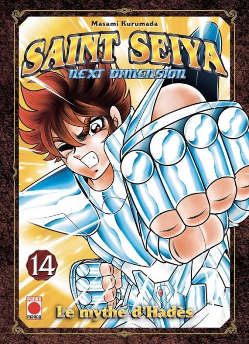 Emprunter Saint Seiya Next Dimension Tome 14 livre