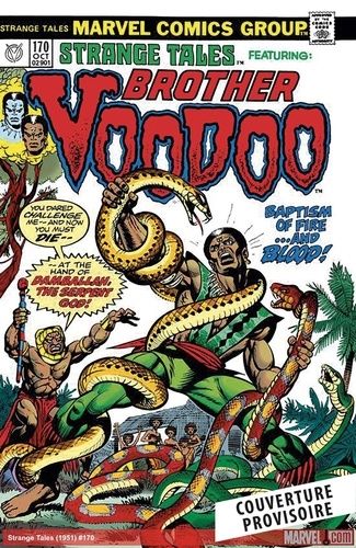 Emprunter Brother Voodoo L'intégrale : 1973-1990 livre