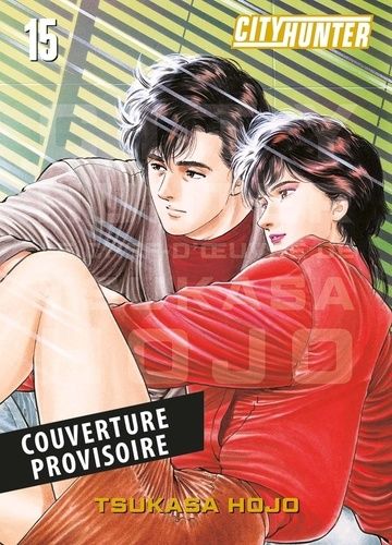 Emprunter City Hunter Tome 15 : Perfect Edition livre