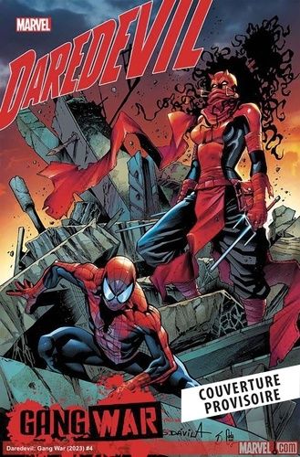 Emprunter Spider-Man : Gang War Tome 3 . Edition collector livre