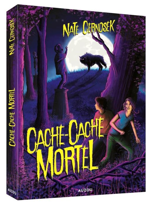 Emprunter Cache-Cache Mortel livre