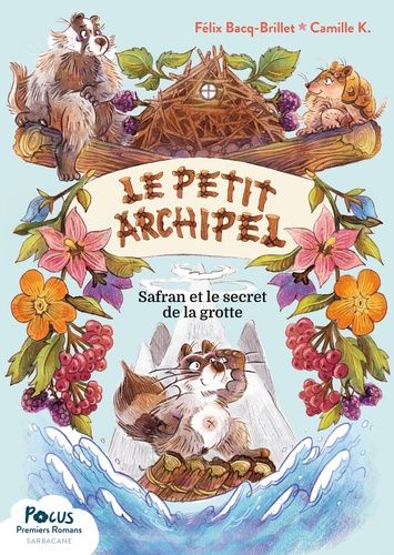 Emprunter Le petit archipel Tome 1 : Safran et le secret de la grotte livre