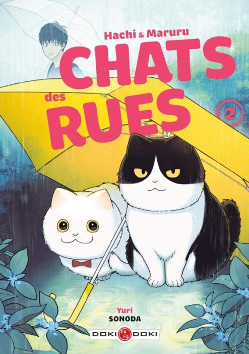 Emprunter Chats des rues - Hachi & Maruru Tome 2 livre