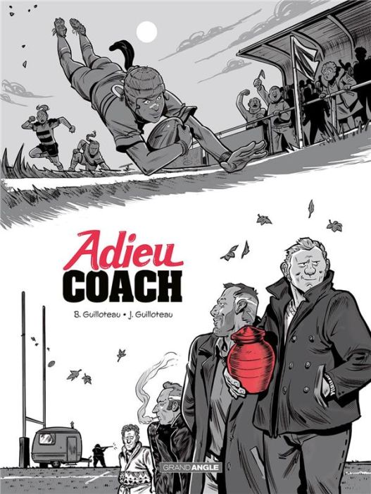 Emprunter Adieu coach livre