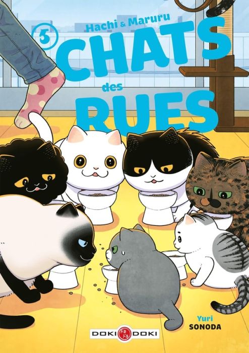 Emprunter Hachi & Maruru, chats des rues Tome 5 livre