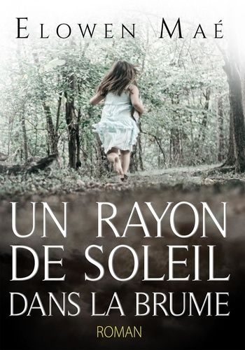 Emprunter Un rayon de soleil dans la brume livre