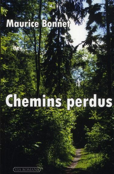 Emprunter Chemins perdus livre