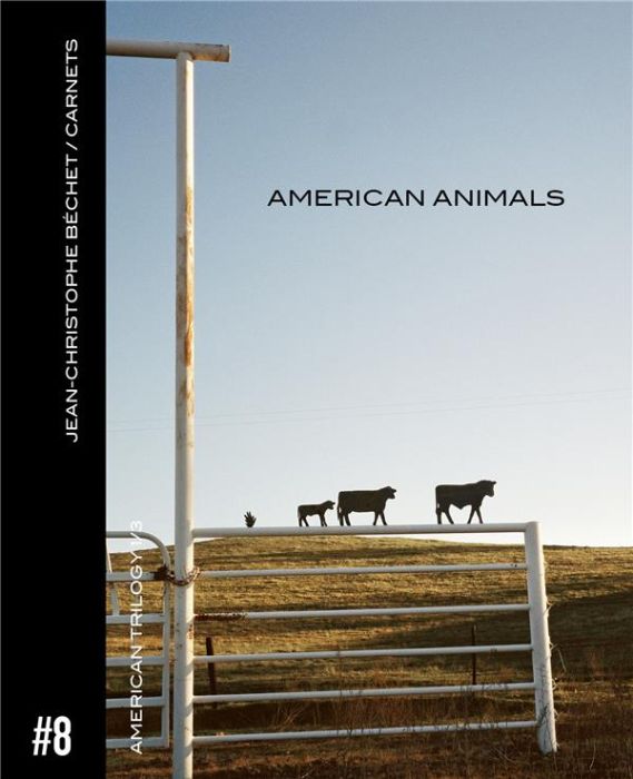 Emprunter Carnets. Volume 8, American Animals livre