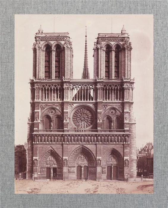 Emprunter Notre-Dame. La cathédrale de Viollet-Le-Duc livre