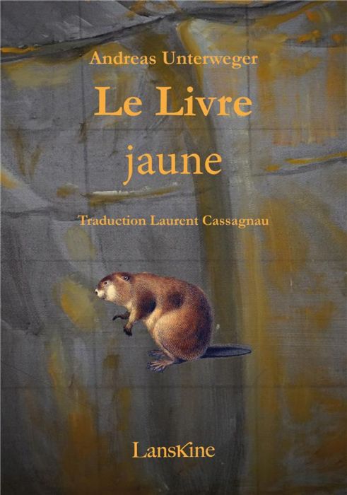 Emprunter Le livre jaune livre