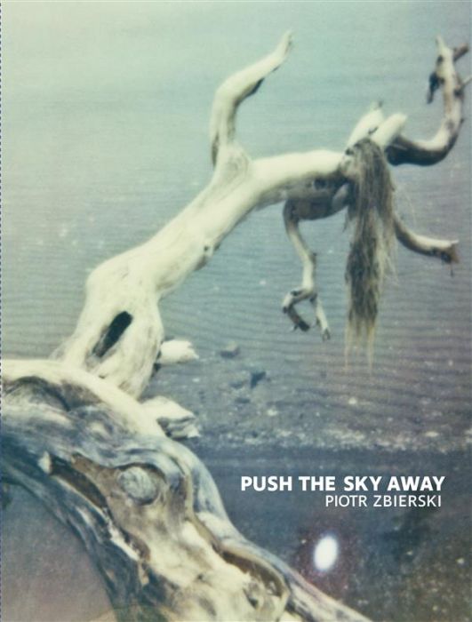 Emprunter Push the sky away livre