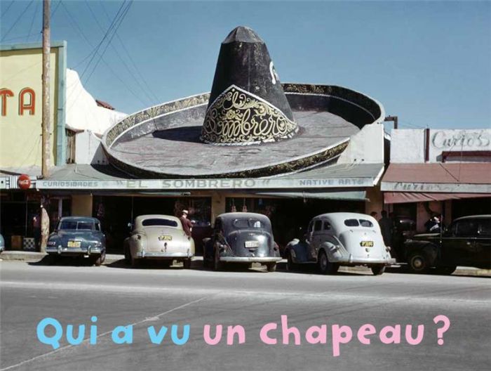 Emprunter Qui a vu un chapeau ? livre