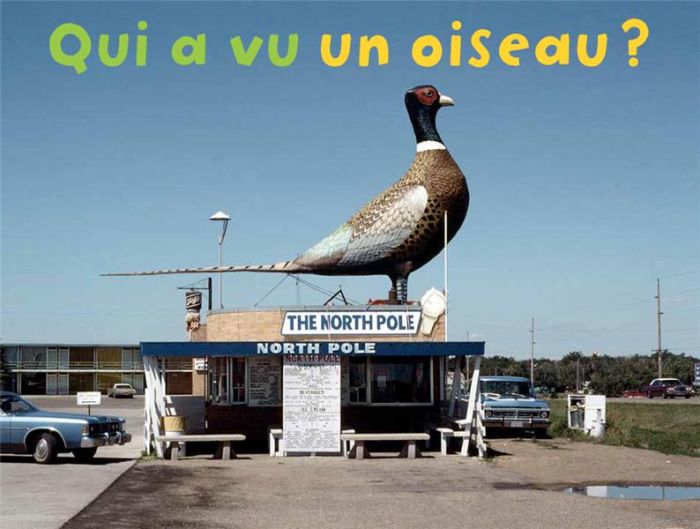 Emprunter Qui a vu un oiseau ? livre