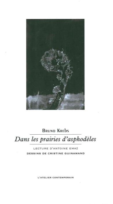 Emprunter Dans les prairies d'asphodèles livre