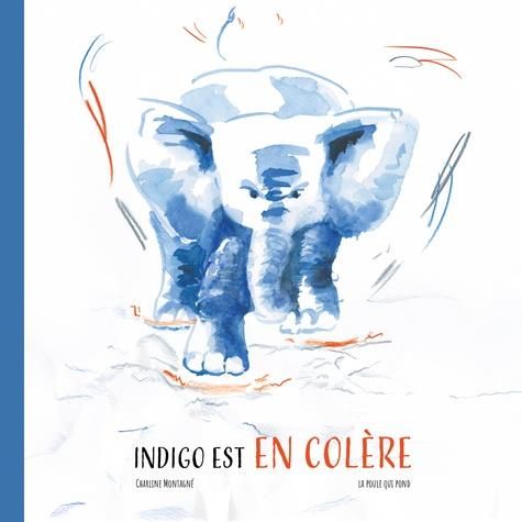 Emprunter Indigo est en colère livre