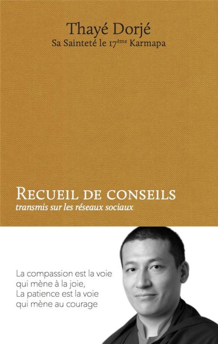 Emprunter Recueil de conseils transmis sur les réseaux sociaux livre