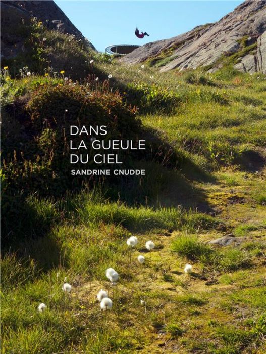 Emprunter Dans la gueule du ciel livre