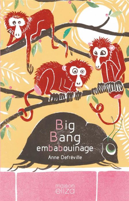 Emprunter Big Bang embabouinage livre