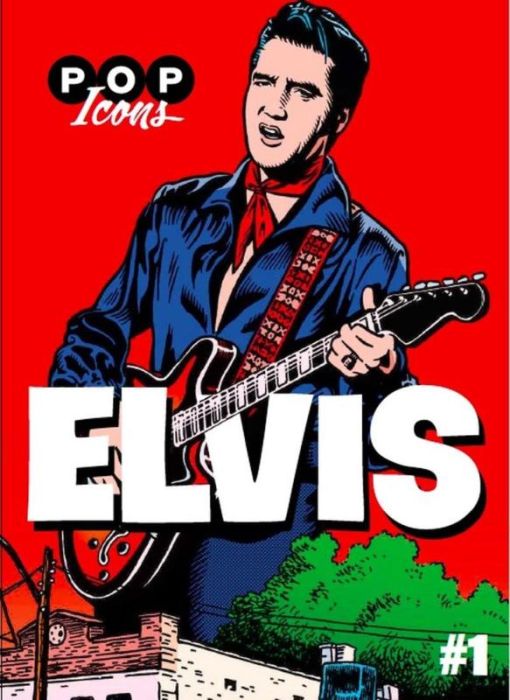 Emprunter Elvis. Pop Icons livre