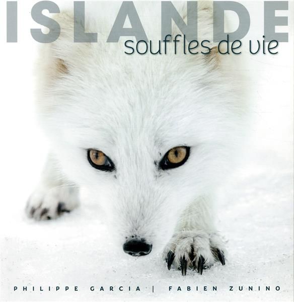 Emprunter Islande. Souffles de vie livre