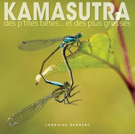 Emprunter Kamasutra des p'tites bêtes... et des plus grosses livre