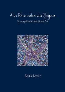 A la Rencontre du Joyau - de son petit moi à son Grand Soi (Broché) - Ferrer Sonia