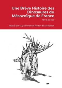 Une Brève Histoire des Dinosaures du Mésozoïque de France - Rey Nicolas - Guy-emmanuel Nodon de monbaron