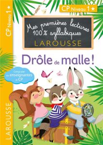 Mes premières lectures 100% syllabiques : Drôle de malle ! CP niveau 1 - Levallois Julia - Heffner Hélène - Stenmark Cécili