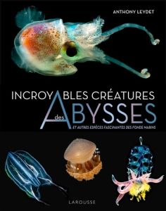 Fascinantes créatures. La vie secrète des animaux des abysses - Leydet Anthony