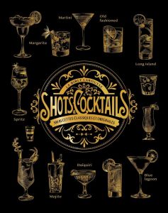 La bible Larousse des Shots et Cocktails. 500 recettes classiques et originales - Houdré-Grégoire Sandrine - Chemin Aimery - Boyer A