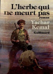 Au-delà de la montagne Tome 2 : L'Herbe qui ne meurt pas - Kemal Yachar