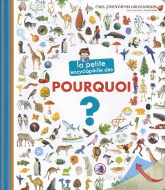 La petite encyclopédie des pourquoi ? - Lamoureux Sophie - Bour Danièle - Bour Laura - Bou