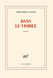 Dans le visible - Langlois Christophe