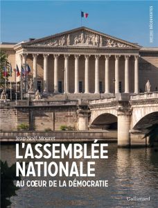 L'Assemblée Nationale. Au coeur de la démocratie - Mouret Jean-Noël