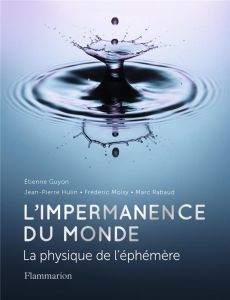 L'impermanence du monde. La physique de l’éphémère - Guyon Etienne - Hulin Jean-Pierre - Moisy Frédéric