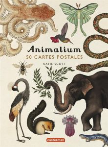 Animalium. 50 cartes postales - Broom Jenny - Scott Katie