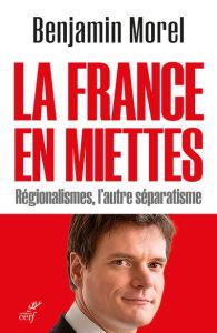 La France en miettes. Régionalismes, l'autre séparatisme - Morel Benjamin