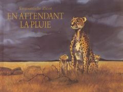 En attendant la pluie - Zicot Emmanuelle - Bertrand Pierre