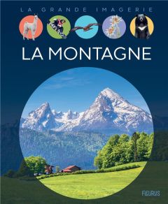 La montagne - Vandewiele Agnès