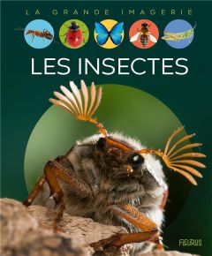 Les insectes - Beaumont Emilie - Lemayeur Marie-Christine - Alunn