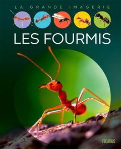 Les fourmis - Boccador Sabine