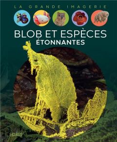 Blob et espèces étonnantes - Ternois Manon