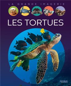 Les tortues - Boccador Sabine