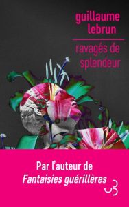 Ravagés de splendeur - Lebrun Guillaume