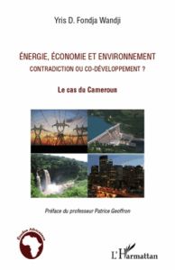 Energie, économie et environnement. Contradiction ou co-développement ? Le cas du Cameroun - Fondja Wandji Yris - Geoffron Patrice