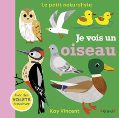 Je vois un oiseau - Vincent Kay