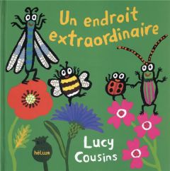 Un endroit extraordinaire - Cousins Lucy - Delattre Laure