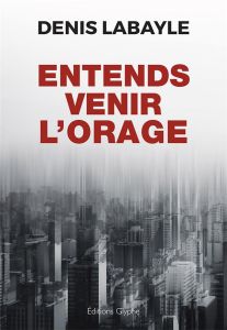 Entends venir l'orage - Labayle Denis